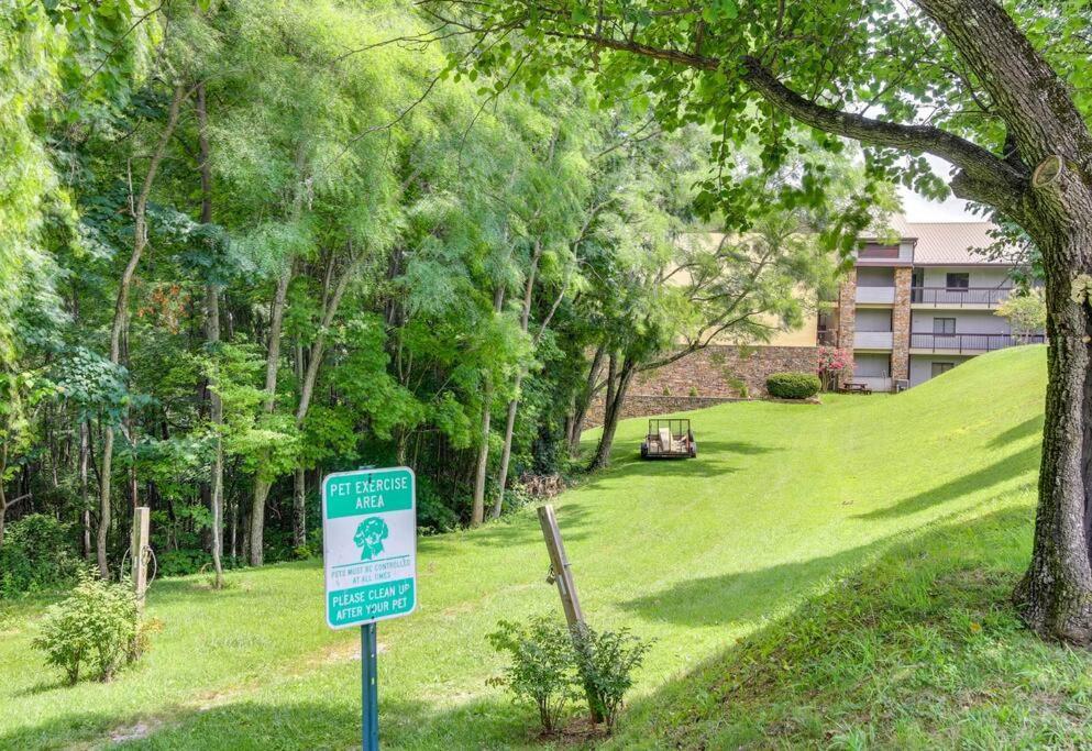 Villa Lux Retro Getaway W/ Ober & Smoky Mtn Views! Gatlinburg Exterior foto